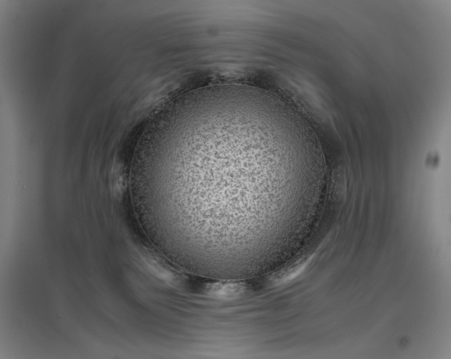 X0000096940135200802221328