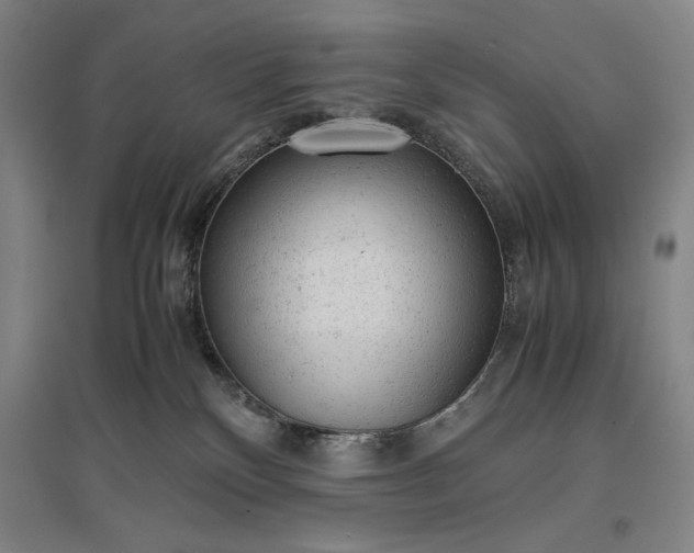 X0000096940136200802221328