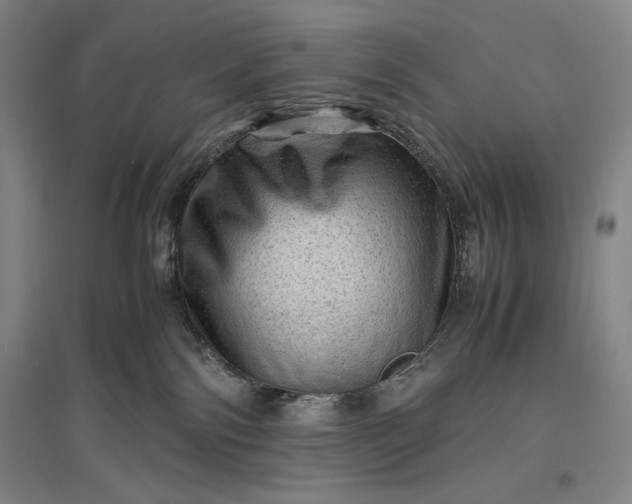 X0000096940138200802221328