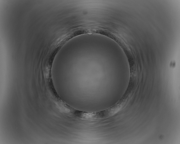 X0000096940139200802221328