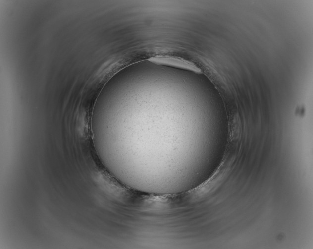 X0000096940140200802221328