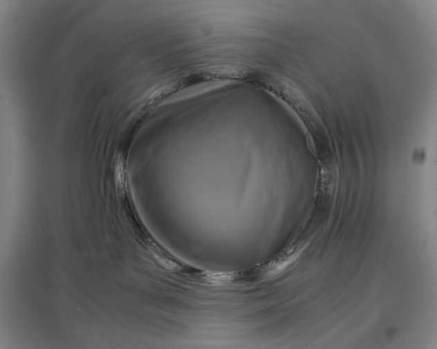 X0000096940143200802221328