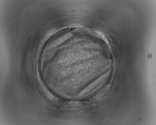 X0000096940145200802221327