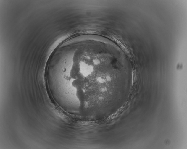 X0000096940147200802221328