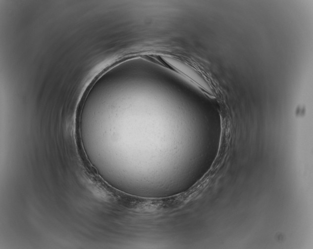 X0000096940148200802221328