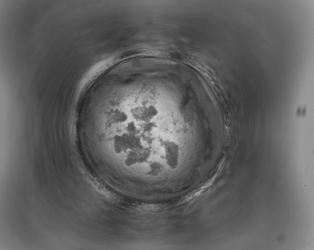 X0000096940149200802221328