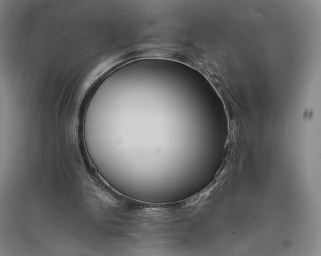 X0000096940150200802221328