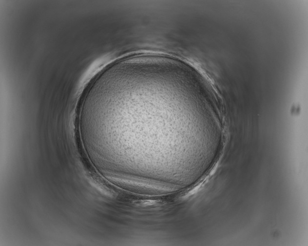 X0000096940151200802221328