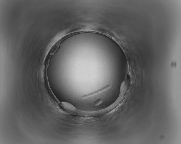 X0000096940152200802221328