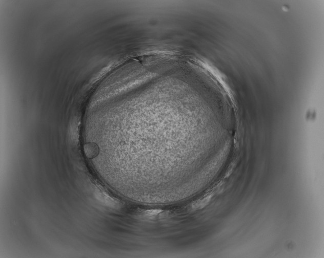 X0000096940153200802221328