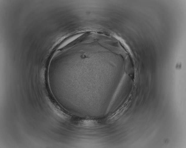 X0000096940154200802221328