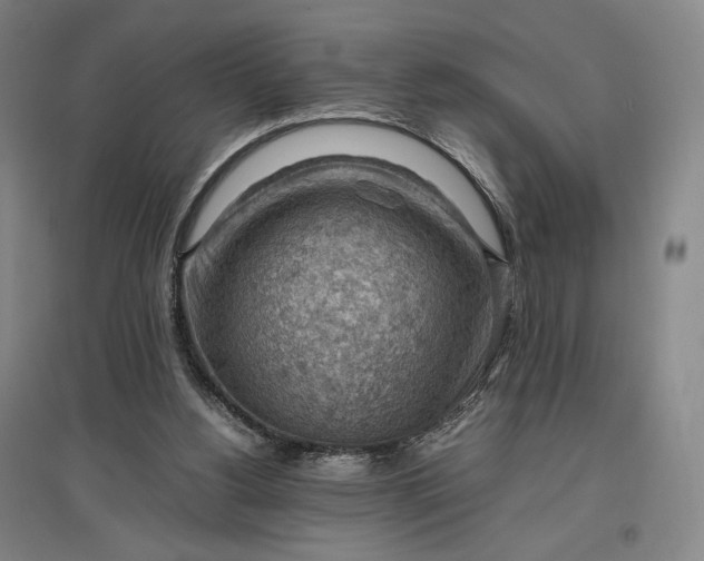 X0000096940156200802221328