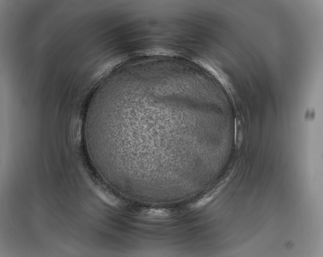 X0000096940157200802221328