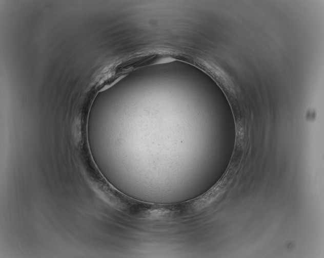 X0000096940158200802221328