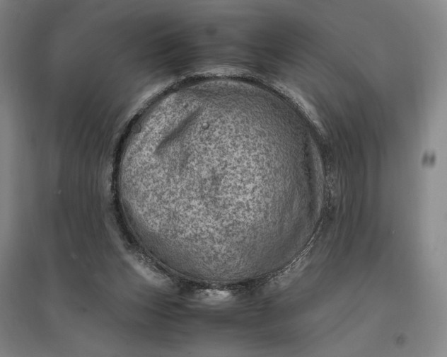 X0000096940159200802221328