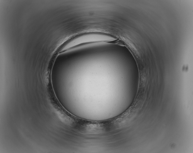 X0000096940160200802221328