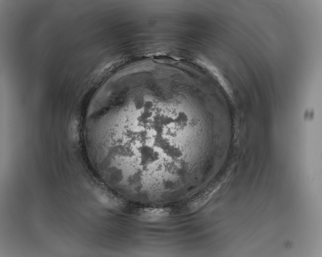 X0000096940161200802221328