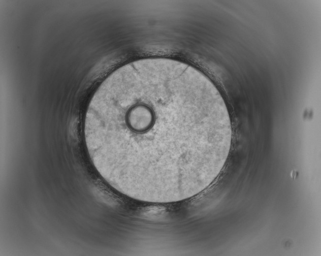 X0000096940162200802221328