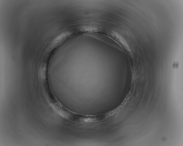 X0000096940163200802221328