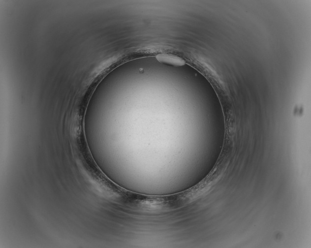 X0000096940164200802221328