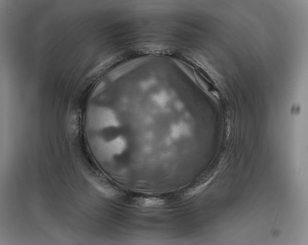 X0000096940165200802221328