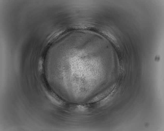 X0000096940166200802221328