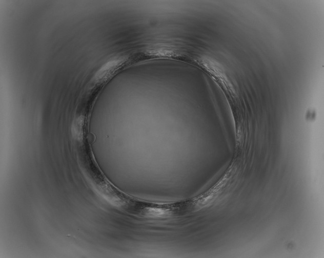 X0000096940167200802221328