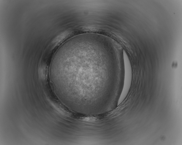 X0000096940168200802221328