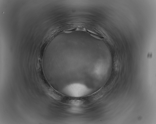 X0000096940169200802221328