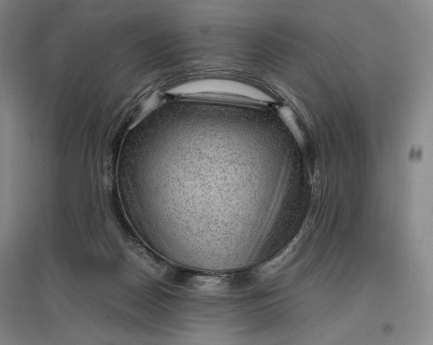 X0000096940170200802221328