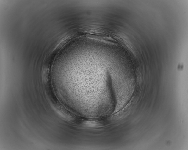 X0000096940171200802221328