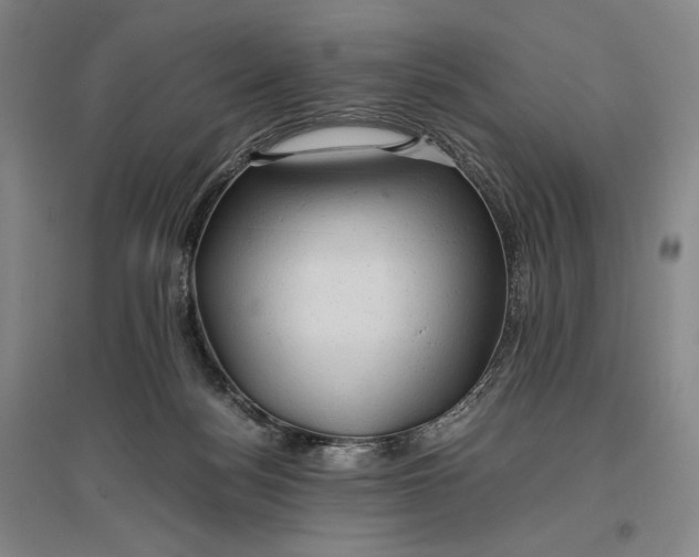 X0000096940172200802221328