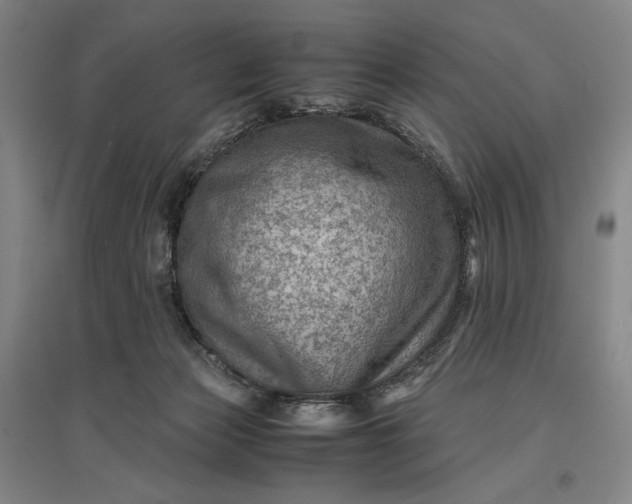 X0000096940173200802221328