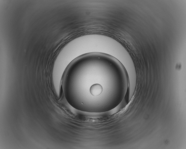 X0000096940174200802221328