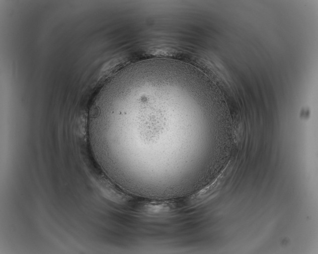 X0000096940175200802221328