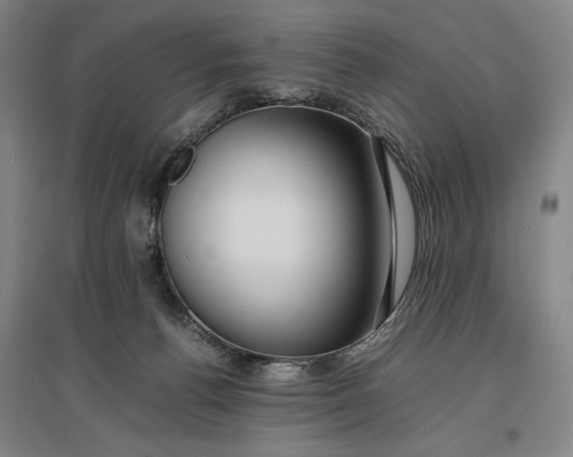 X0000096940176200802221328