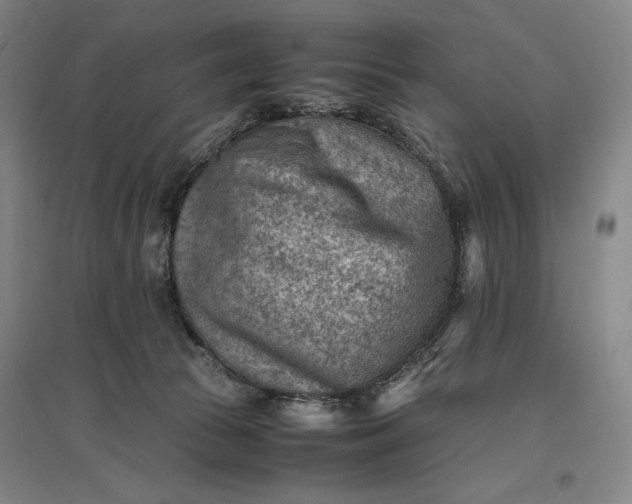 X0000096940177200802221328