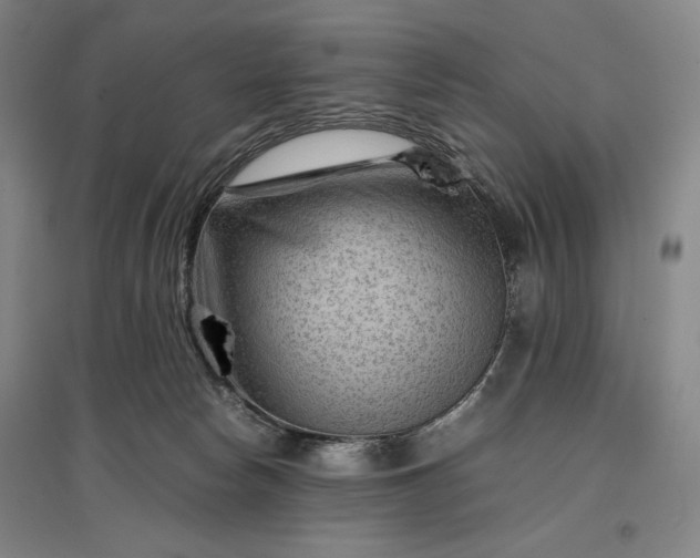 X0000096940178200802221328