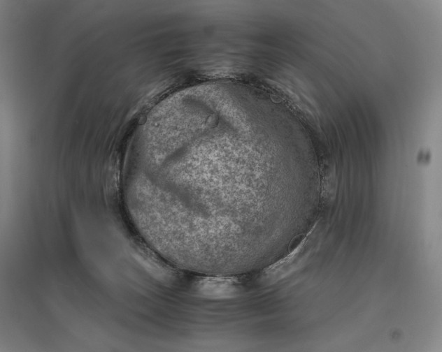 X0000096940179200802221328