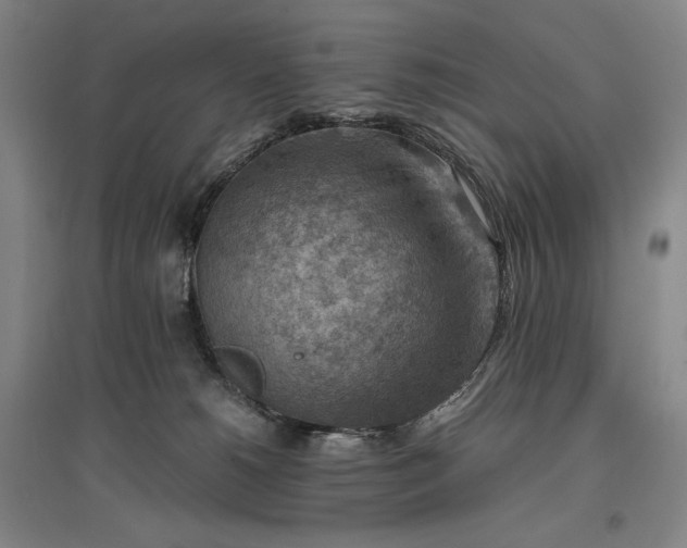 X0000096940180200802221328