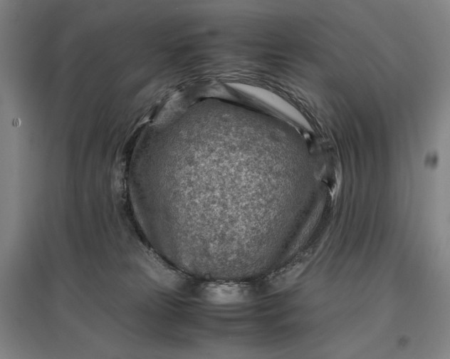 X0000096940181200802221328