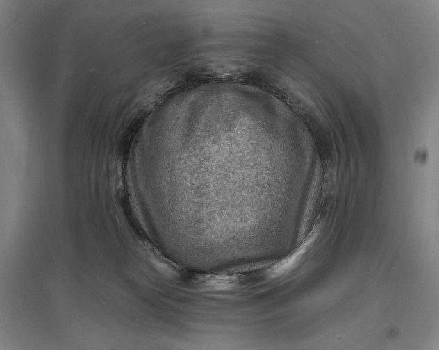 X0000096940182200802221328