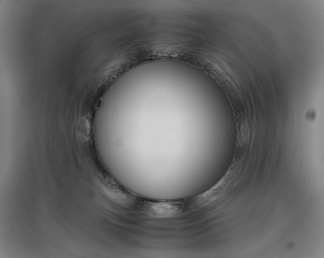 X0000096940183200802221328