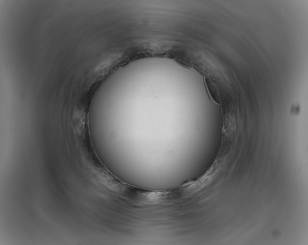 X0000096940184200802221328