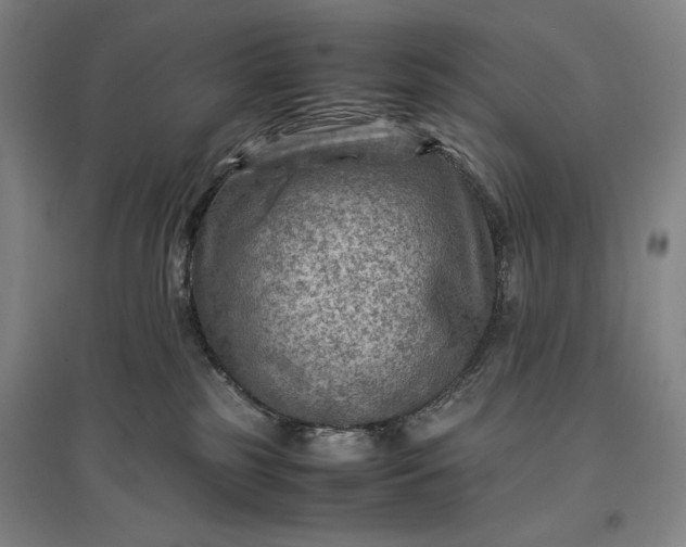 X0000096940185200802221328