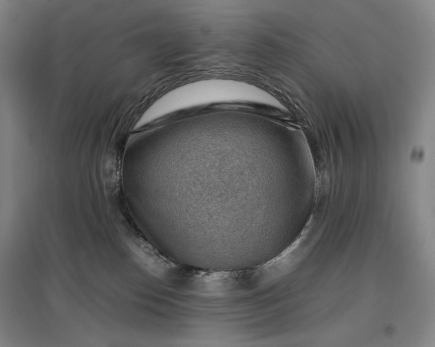 X0000096940186200802221328