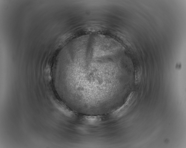 X0000096940187200802221328