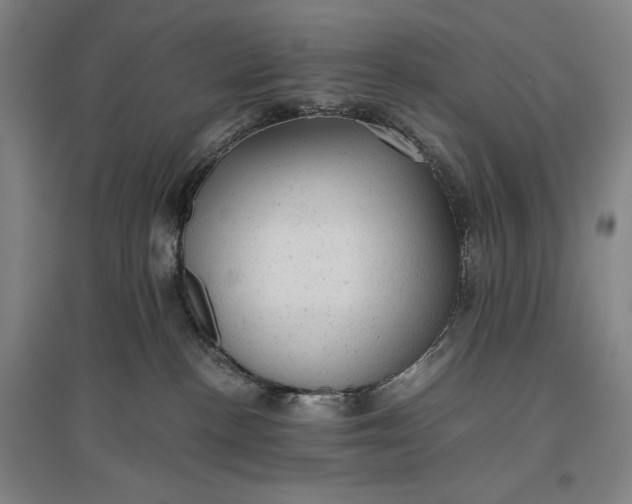 X0000096940188200802221328