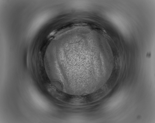 X0000096940189200802221328