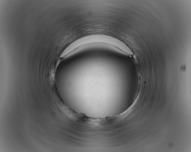 X0000096940190200802221328